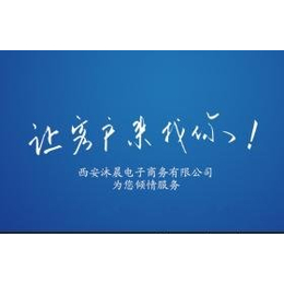 陕西富平县农产品电子商务产业孵化园策划案_