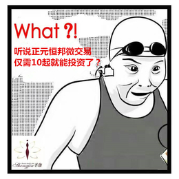 深圳正元恒邦微交易机构代码60670001_投资