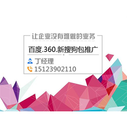 重庆渝中网站建设、网沃网络(在线咨询)、企业