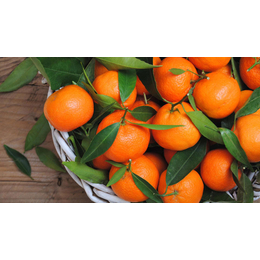 上海橙子进口清关代理价格_其他生鲜水果_第
