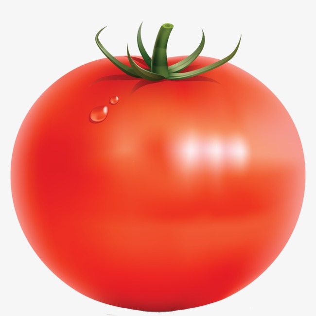 西红柿的功效和作用?常吃西红柿有三个好处