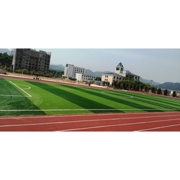 武汉足球场工程-湖北野火体育设施