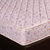 香宝莲弹簧床垫软硬两用天然椰棕床垫 席梦思垫可定做缩略图4