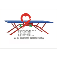 兵羽系列 乒乓球台 广西体育中心
