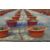 安徽宣城市丁香花卉温室滴灌售后保障齐全缩略图2