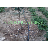 广西梧州果树滴灌设备_滴水管_节水设备厂家*
