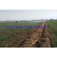云南昆明市小麦苗木喷灌带****技术生产