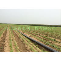 双流县大棚滴灌灌溉设备 滴灌管 滴灌管销售