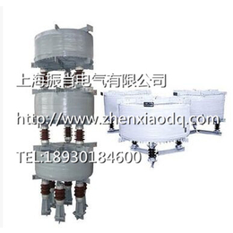 上海振肖电气CKGKL系列干式空芯串联电*器