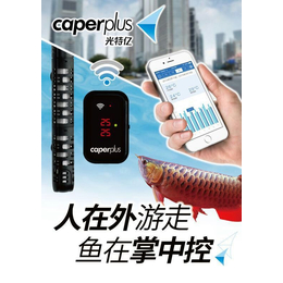 供应caper远程智能温控器500W鱼缸加热棒缩略图