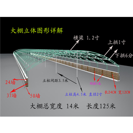 嘉汇农牧公司总代*的新型养殖大棚