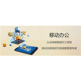 杭州crm,灵当CRM(****商家),crm系统缩略图