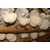 黑龙江猴头菇,猴头菇,腾飞食用菌(多图)缩略图1