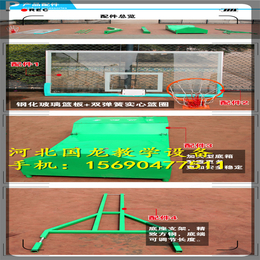 三水市电动液压篮球架天门市移动式篮球架