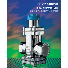 BRV73直接作用式蒸汽减压阀 河南斯派莎克减压阀总代理