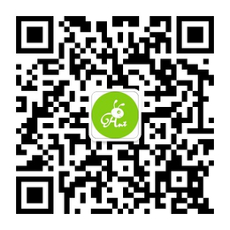 河南哎吆嗨小蚂蚁微信公众平台第三方开发