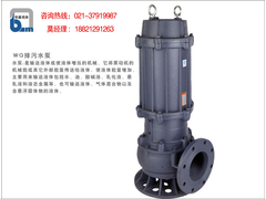 WQ排污泵1.jpg