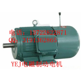 YEJ电磁制动电机YEJ225M-45KW-2****电动机缩略图