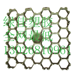 ****供应系列草坪格园林绿化植草格停车场植草格