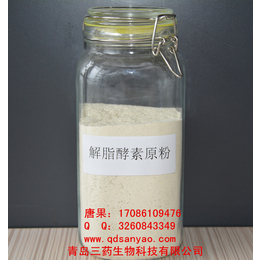 酵素OEM 酵素贴牌 台湾进口解脂酵素原粉 酵素代加工厂家