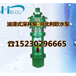 油浸式深井泵充油式潜水泵井下提水泵QY65-7-2.2喷泉泵