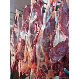 羊肉销售和肉羊养殖技术及价格缩略图