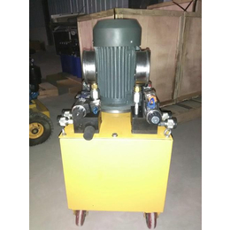 莆田市电动液压泵、鼎益液压(在线咨询)、电动液压泵价格缩略图