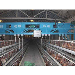 华翔养鸡设备来单定做(图)_上料机生产厂_景县上料机