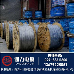 陕西电缆厂(图)_留坝县电线电缆_电线电缆