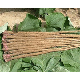 种子编织机|种子编织机公司|潍坊晟海农业科技
