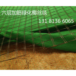 绿化植生毯 边坡防护 椰丝毯 *冲生物毯