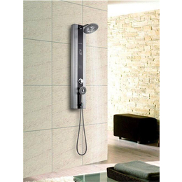 集成淋浴屏_圣洛威(在线咨询)_集成淋浴屏需要多少钱