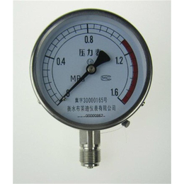 布莱迪全不锈钢微卡型1.6级压力表Y100B