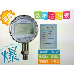 精密数字数显0.25级*大气测量仪表电子式标准压力表Y