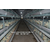 龙门喂料机 养鸡设备 蛋鸡笼提升机 阶梯式捡蛋机缩略图1