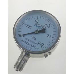 供应布莱迪YQ-100不锈钢氢气压力表*