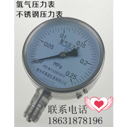 厂家*氢气减压器*表氢气气体表布莱迪YQ-100B