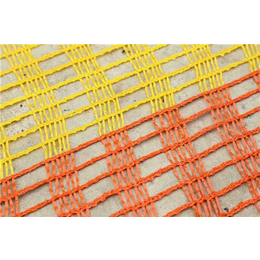 塑料网|泰安佳瑞建材(在线咨询)|橙色塑料网缩略图