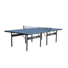 安徽乒乓球桌|双子星体育用品|儿童乒乓球怎么选