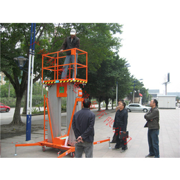 广州8米电动升降机 安全载重200kg双人用电动升降机