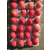 陕西冷库膜袋红富士苹果价格行情冷库膜袋红富士苹果批发价格缩略图2