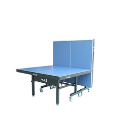 双子星体育用品(图),乒乓球台规格,四川乒乓球台