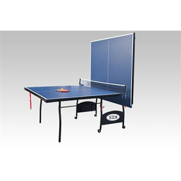 宁夏乒乓球台|双子星体育用品(****商家)|乒乓球台标准尺寸