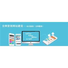 青岛网站,雷迅在线,青岛网站优化推广