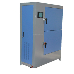 混凝土碳化试验箱-碳化试验箱-混凝土碳化试验箱立式