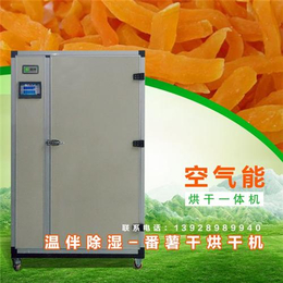 番薯干烘干机|广州温伴(在线咨询)|番薯干烘干机价格