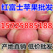 沂水县红梅水果购销中心