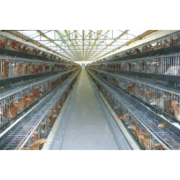 华翔养殖设备供应(图)|养鸡全自动上料机|武城上料机