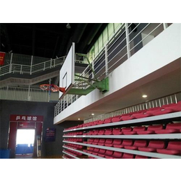 天津室内篮球架_天津奥健体育用品厂_室内篮球架供应