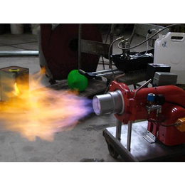 *生物科技(图)|燃油燃烧机原理|津南区燃油燃烧机
